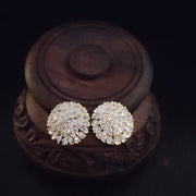 Pankaja Chandra Stud